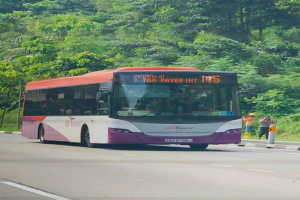 Trotz steigender Kosten: Diese Regionalbuslinien sind gerettet