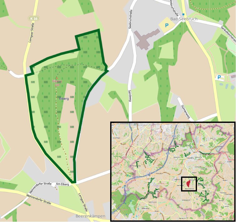 Stadtrat von Koblenz genehmigt Millionen-Projekte und wählt neuen Bürgermeister