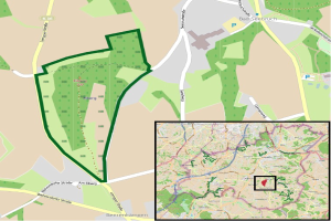 Stadtrat von Koblenz genehmigt Millionen-Projekte und wählt neuen Bürgermeister