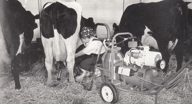Ein Schwarz-Weiß-Foto einer Frau, die eine Kuh auf einem Bauernhof melkt, umgeben von Gras und einem fahrbaren Gerät, mit einer Wand im Hintergrund.