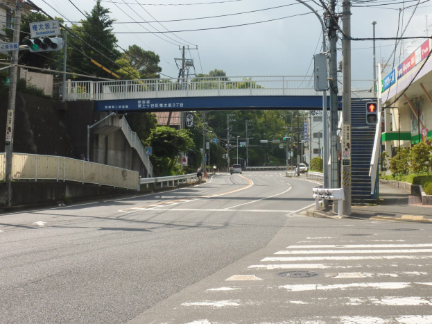Stadtstraße mit einer Fußgängerbrücke darüber, Fahrzeuge auf der Straße, Strommasten mit Drähten, Verkehrsampeln, Schilder, Gebäude mit Fenstern, Bäume, Pflanzen und Himmel im Hintergrund.