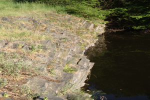 Ein kleiner, klarer Bach spiegelt umliegende Bäume und saftiges Grün am Flussufer.