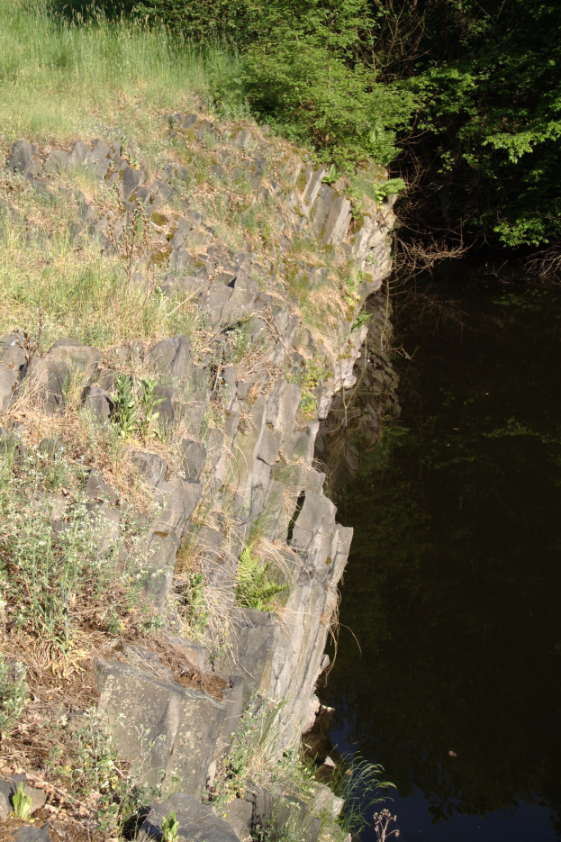 Ein kleiner, klarer Bach spiegelt umliegende Bäume und saftiges Grün am Flussufer.