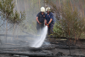 Zwei Feuerwehrleute in Helmen und Handschuhen nutzen einen Schlauch, um ein Waldfeuer zu löschen, mit Bäumen und Holzstämmen im Hintergrund.