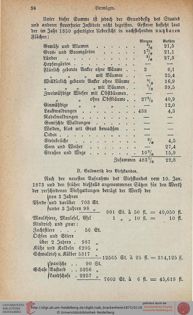Alter Buchumschlag von der 1873er Universität Heidelberg-Ausgabe mit Text- und numerischen Details zur Universitätsgeschichte.