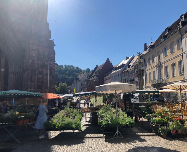 Ein belebter Markt im alten Stadtzentrum von Heidelberg mit Menschen an Tischen mit Blumentöpfen und Schirmen, umgeben von Gebäuden, Bäumen und einem klaren blauen Himmel.