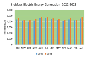 Liniengraph, der die Trends der elektrischen Energieerzeugung aus Biomasse von 2021 bis 2022 zeigt, mit begleitendem erklärendem Text.